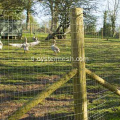 HDPE Poultry Netting Chicken Wire Mesh Fence